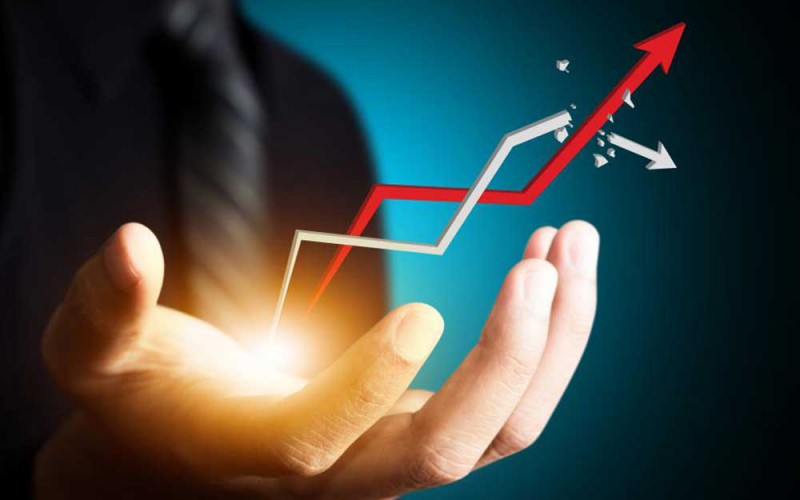 IT Supply and Maintenance