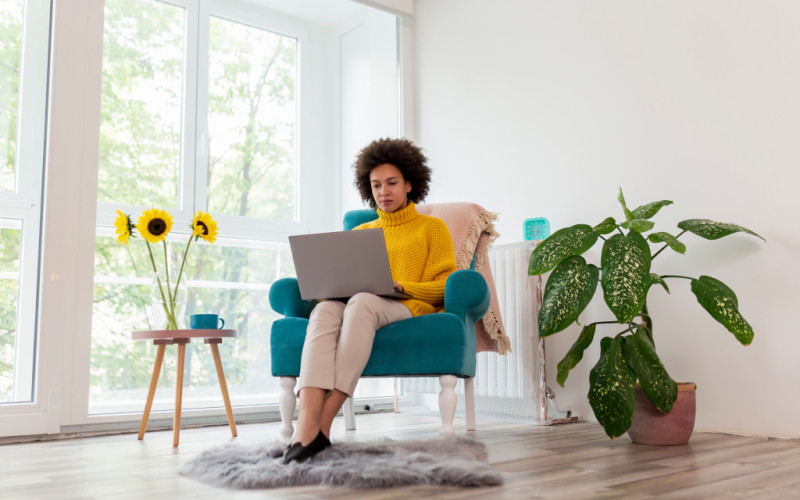 Software and Website Development